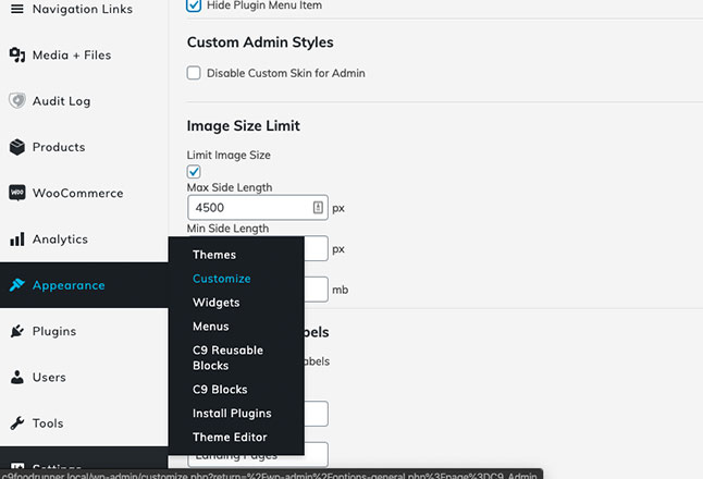 Click on Appearance > Customize to edit logo and site design